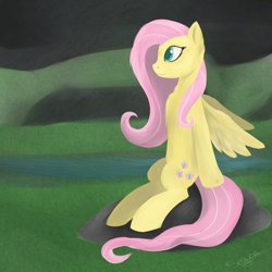 Size: 3500x3500 | Tagged: safe, artist:cupcaken, fluttershy, pegasus, pony, female, mare, sitting, solo