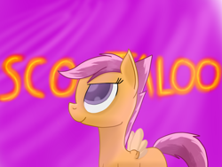 Size: 1600x1200 | Tagged: safe, artist:flashiest lightning, derpibooru import, scootaloo, solo, wallpaper