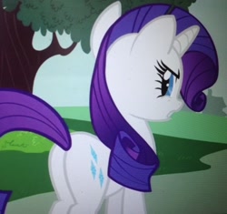 Size: 1002x942 | Tagged: safe, screencap, rarity, pony, unicorn, honest apple, cropped, female, looking back, mare, plot, rear view, solo