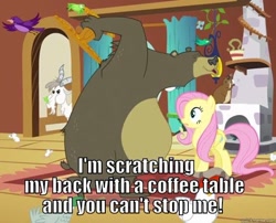 Size: 556x449 | Tagged: safe, fluttershy, harry, bear, goat, pegasus, pony, hairy, image macro, meme