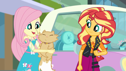Size: 1920x1080 | Tagged: safe, screencap, fluttershy, sunset shimmer, cat, driving miss shimmer, driving miss shimmer: fluttershy, equestria girls, equestria girls series, car, choose your own ending (season 1), cute, duo, duo female, female, fluttershy's car, geode of empathy, geode of fauna, magical geodes, miss kitty, shimmerbetes, shyabetes