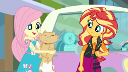 Size: 1920x1080 | Tagged: safe, screencap, fluttershy, sunset shimmer, cat, better together, choose your own ending, driving miss shimmer, driving miss shimmer: fluttershy, equestria girls, car, cute, duo, duo female, female, fluttershy's car, geode of empathy, geode of fauna, magical geodes, miss kitty, shimmerbetes, shyabetes