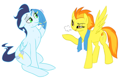 Size: 1000x682 | Tagged: safe, artist:elslowmo, artist:jessy, derpibooru import, soarin', spitfire, colored, sweat, towel, wonderbolts