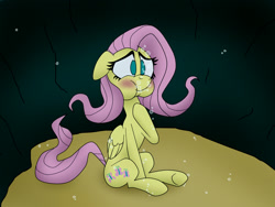 Size: 1600x1200 | Tagged: safe, artist:uwdr-64, fluttershy, pegasus, pony, blowing bubbles, blushing, bubble, puffy cheeks, solo, underwater, watershy