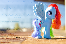Size: 4801x3202 | Tagged: safe, artist:alienpauline483, artist:artofmagicpoland, derpibooru import, rainbow dash, pegasus, pony, the ending of the end, the last problem, a true true friend, at the gala, doll, dr. seuss, end of g4, end of ponies, female, figurine, happy birthday mlp:fim, irl, mare, mlp fim's ninth anniversary, photo, solo, spread wings, starry eyes, text, the magic of friendship grows, toy, wingding eyes, wings
