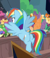 Size: 202x233 | Tagged: safe, derpibooru import, screencap, rainbow dash, pegasus, pony, the beginning of the end, cropped, female, flower, mare, plot, solo, spread wings, wings