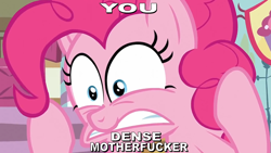 Size: 810x456 | Tagged: safe, screencap, pinkie pie, earth pony, pony, gunshow, image macro, meme, reaction image, solo, vulgar, you dense motherfucker