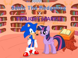 Size: 960x720 | Tagged: safe, derpibooru import, twilight sparkle, twilight sparkle (alicorn), alicorn, pony, background pony strikes again, crossover, crossover shipping, female, golden oaks library, male, mare, sonic the hedgehog, sonic the hedgehog (series), straight, twisonic