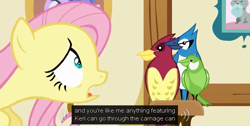 Size: 635x319 | Tagged: safe, screencap, fluttershy, bird, blue jay, pegasus, pony, scare master, chickadee (bird), fluttershy's cottage, meme, youtube caption