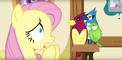 Size: 1899x943 | Tagged: safe, screencap, fluttershy, bird, blue jay, pegasus, pony, scare master, chickadee (bird), female, mare, nervous, open mouth, songbird, worried