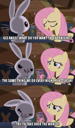 Size: 605x1023 | Tagged: safe, screencap, angel bunny, fluttershy, pegasus, pony, scare master, angel is a bunny bastard, evil, evil grin, grin, image macro, meme, pinky and the brain, smiling