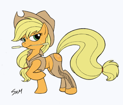 Size: 510x438 | Tagged: artist needed, safe, applejack, earth pony, pony, chaps, clothes, hat, solo, vest