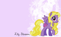 Size: 3000x1800 | Tagged: safe, artist:kelseysparrow67, derpibooru import, lily blossom, solo, wallpaper