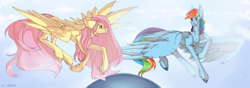 Size: 7988x2826 | Tagged: safe, artist:arhio-zero, derpibooru import, fluttershy, rainbow dash, pegasus, pony, duo, female, flying, mare, neck fluff, signature, sky, spread wings, unshorn fetlocks, wings