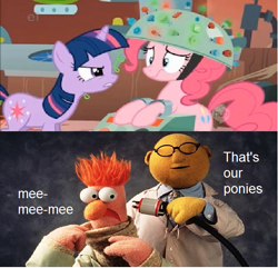 Size: 565x545 | Tagged: safe, derpibooru import, edit, edited screencap, screencap, pinkie pie, twilight sparkle, earth pony, pony, feeling pinkie keen, beaker, beaker (muppet), dr bunsen honeydew, laboratory, meme, that's my pony, that's my x, the muppets