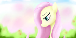 Size: 4000x2000 | Tagged: safe, artist:dashy21, fluttershy, pegasus, pony, female, mare, pink mane, solo, yellow coat