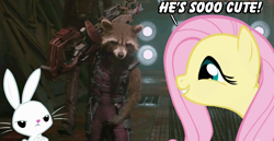 Size: 918x473 | Tagged: safe, angel bunny, fluttershy, pegasus, pony, female, guardians of the galaxy, mare, rocket raccoon