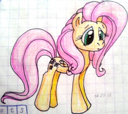 Size: 761x679 | Tagged: safe, artist:colossalstinker, fluttershy, pegasus, pony, graph paper, solo, traditional art