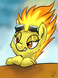 Size: 1500x2000 | Tagged: safe, artist:pirill, derpibooru import, spitfire, pony, 30 minute art challenge, female, goggles, solo