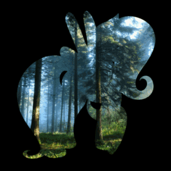Size: 1000x1000 | Tagged: safe, artist:emerlees, fluttershy, pegasus, pony, animated, forest, silhouette, solo