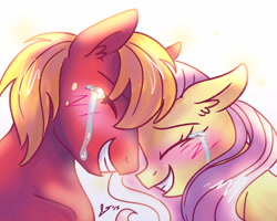 Size: 1250x1000 | Tagged: safe, artist:dreamscapevalley, big macintosh, fluttershy, earth pony, pegasus, pony, blushing, crying, eyes closed, fluttermac, male, shipping, stallion, straight, tears of joy