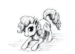 Size: 720x518 | Tagged: safe, artist:el-yeguero, pinkie pie, earth pony, pony, monochrome, solo, traditional art