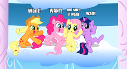 Size: 959x521 | Tagged: safe, edit, edited screencap, screencap, applejack, fluttershy, pinkie pie, twilight sparkle, earth pony, pegasus, pony, sonic rainboom (episode), image macro, meme, not sure if want, varying degrees of want