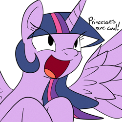 Size: 500x500 | Tagged: safe, artist:reiduran, artist:venezolanbrony, derpibooru import, twilight sparkle, twilight sparkle (alicorn), alicorn, pony, colored, female, mare, open mouth, princess, smiling, solo, spread wings