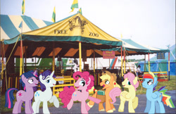 Size: 905x587 | Tagged: safe, artist:trotsworth, derpibooru import, applejack, applejack (male), bubble berry, butterscotch, dusk shine, elusive, fluttershy, pinkie pie, rainbow blitz, rainbow dash, rarity, twilight sparkle, pony, book, irl, male six, mane six, petting zoo, photo, ponies in real life, rule 63