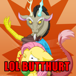 Size: 1200x1200 | Tagged: safe, discord, fluttershy, pegasus, pony, flutterbuse, image macro, lol butthurt, meme