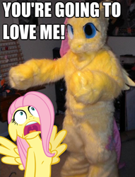 Size: 618x808 | Tagged: safe, fluttershy, human, clothes, cosplay, costume, image macro, irl, irl human, irony, meme, photo, ponysuit, you're going to love me