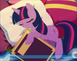 Size: 750x600 | Tagged: safe, artist:xenokurisu, derpibooru import, twilight sparkle, book, sleeping, solo