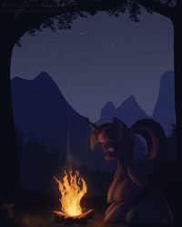 Size: 800x1000 | Tagged: safe, artist:raikoh, derpibooru import, twilight sparkle, twilight sparkle (alicorn), alicorn, pony, alternate hairstyle, campfire, dark, female, fire, forest, mare, mountain, night, outdoors, ponytail, scenery, sitting, smiling, solo, stars, tree