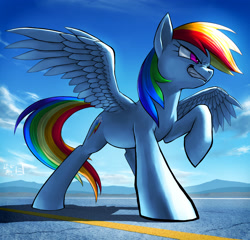 Size: 2500x2400 | Tagged: safe, artist:murskme, derpibooru import, rainbow dash, pegasus, pony, female, grin, kanji, mare, mountain, smiling, solo, spread wings, wings