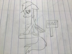 Size: 3264x2448 | Tagged: safe, artist:rainbow dash is best pony, derpibooru import, rainbow dash, pegasus, pony, cute, dashabetes, hugs?, lineart, lined paper, pencil drawing, sitting, solo, traditional art