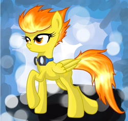 Size: 2880x2732 | Tagged: safe, artist:fire-natsu, derpibooru import, spitfire, pegasus, pony, female, mare, solo, two toned mane, wings, yellow coat