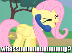 Size: 640x477 | Tagged: safe, fluttershy, pegasus, pony, budweiser, eyes closed, female, flutteryay, impact font, mare, phone, scary movie, telephone, wassup, yay