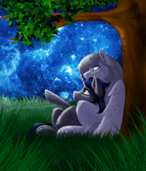 Size: 1753x2046 | Tagged: safe, derpibooru import, king sombra, queen umbra, oc, oc:light knight, pony, unicorn, good king sombra, good queen umbra, grass, night, rule 63, starry sky, stars, tree, tree branch