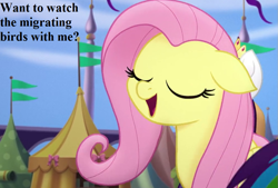 Size: 999x675 | Tagged: safe, derpibooru import, edit, edited screencap, screencap, fluttershy, rainbow dash, pegasus, pony, my little pony: the movie, bronybait, canterlot, cropped, cute, shyabetes, speech