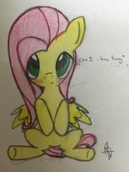 Size: 2448x3262 | Tagged: safe, artist:thewanderingtyto, fluttershy, pegasus, pony, cute, hug, hug request, solo, traditional art