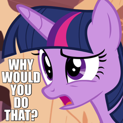 Size: 720x720 | Tagged: safe, derpibooru import, screencap, twilight sparkle, twilight sparkle (alicorn), alicorn, pony, testing testing 1-2-3, caption, female, image macro, mare, meme, reaction image, solo, why would you do that