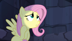 Size: 1280x720 | Tagged: safe, screencap, fluttershy, pegasus, pony, castle mane-ia, female, mare, pink mane, yellow coat