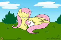 Size: 1200x791 | Tagged: safe, artist:caluriri, fluttershy, pegasus, pony, egg, female, mare, solo