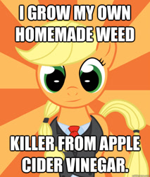 Size: 588x691 | Tagged: safe, applejack, earth pony, pony, alternate hairstyle, clothes, image macro, meme, successful applejack, suit