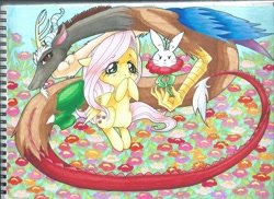 Size: 2338x1700 | Tagged: safe, artist:darknessa-desu, angel bunny, discord, fluttershy, pegasus, pony, flower, flower field, traditional art, trolling