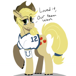Size: 1280x1280 | Tagged: safe, artist:wirelesspony, applejack, earth pony, pony, american football, andrew luck, ask, asklyingapplejack, clothes, discorded, indianapolis colts, liarjack, nfl, raised eyebrow, scrunchy face, solo, super bowl, super bowl xlix, tumblr