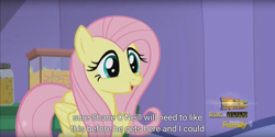 Size: 1920x960 | Tagged: safe, screencap, fluttershy, pegasus, pony, the one where pinkie pie knows, meme, youtube caption