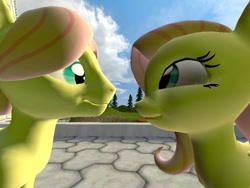 Size: 800x600 | Tagged: safe, butterscotch, fluttershy, pegasus, pony, 3d, female, flutterscotch, gmod, love, male, rule 63, self ponidox, selfcest, shipping, straight