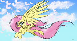 Size: 1024x555 | Tagged: safe, artist:arcuswind, fluttershy, pegasus, pony, female, flying, mare, solo