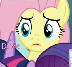 Size: 921x853 | Tagged: safe, screencap, fluttershy, pegasus, pony, the one where pinkie pie knows, dude, image macro, meme, reaction image